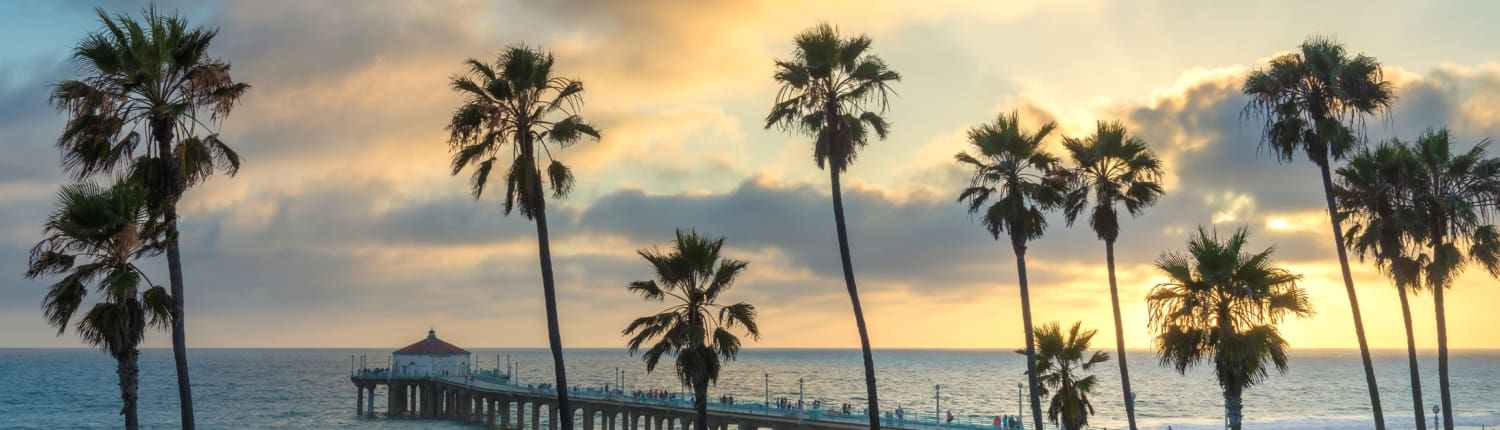 Palm trees in Manhattan Beach and pier at sunset, Los Angeles, California.